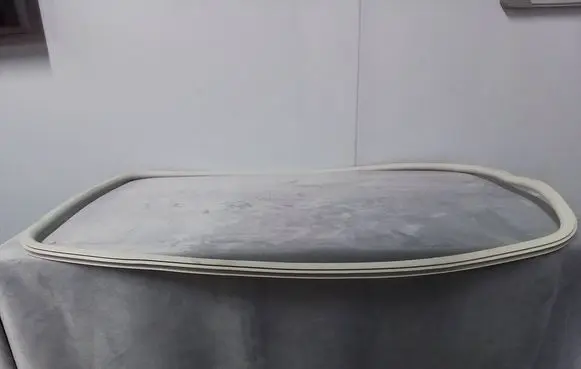 Ford Ecosport Sunroof sealing rubber 