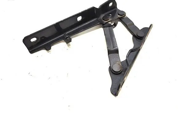 Tesla Model S Engine bonnet/hood hinges 102928500C
