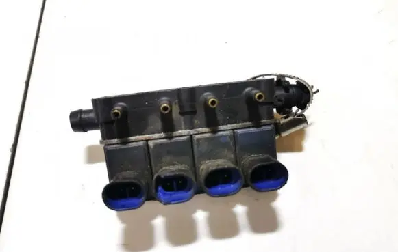 Hyundai Santa Fe LP gas injector 67r010199