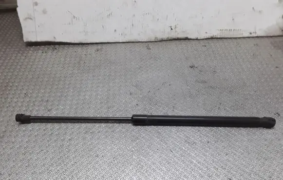 Tailgate/trunk strut/damper