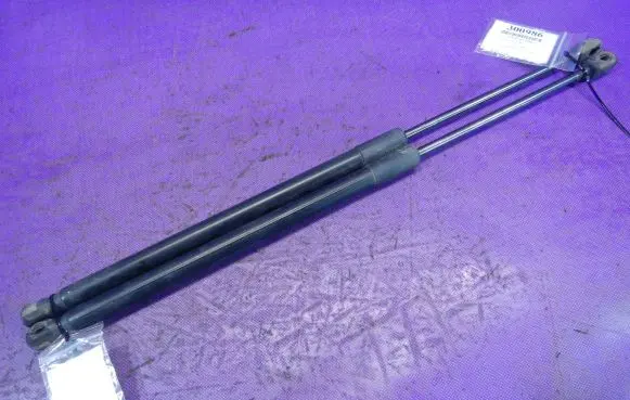 Tailgate strut