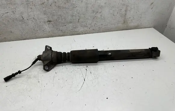 Porsche Macan (95B) Rear shock absorber/damper 95B513035F 462400010417