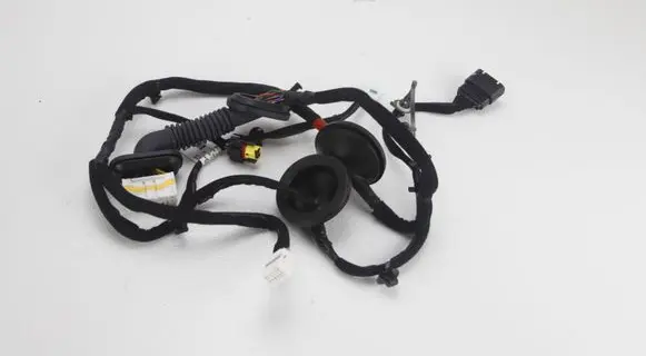 KIA Niro Rear door wiring loom 91630-G5020