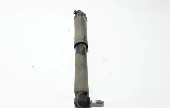 Renault Scenic IV - Grand scenic IV Rear shock absorber/damper 562102469R