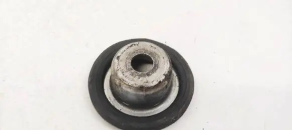 Coil spring mount