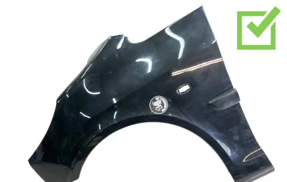 Peugeot 1007 Fender
