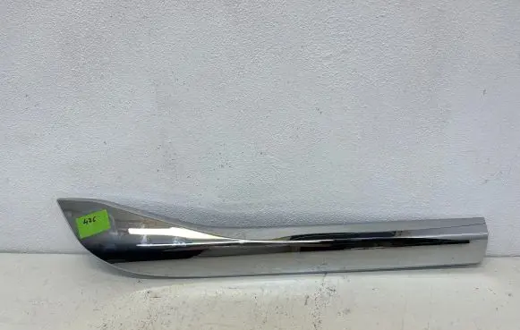 Rear door trim (molding)