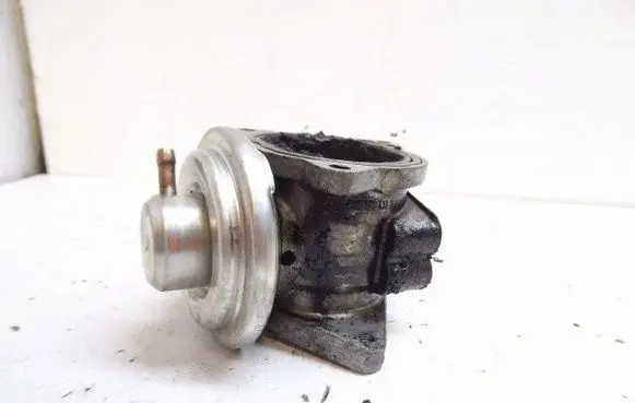 Seat Altea EGR valve