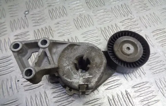 Volkswagen Golf V Alternator belt tensioner pulley 950414