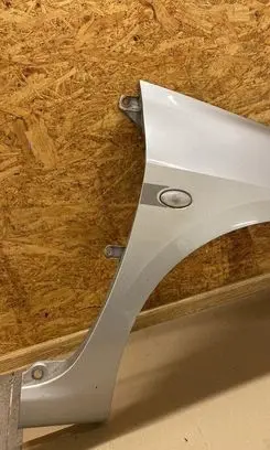 Peugeot 307 Fender