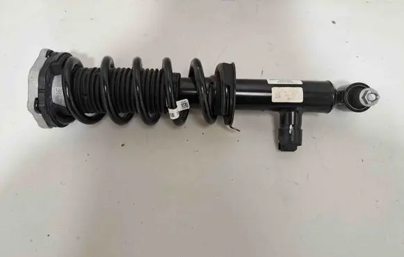 Rear shock absorber/damper