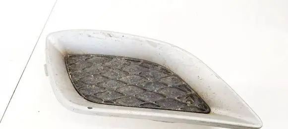 Front bumper lower grill