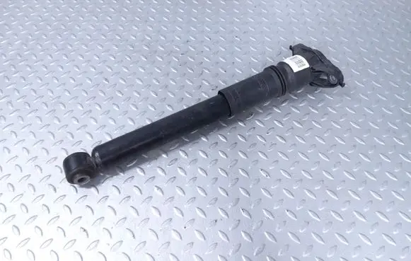 Citroen C4 III e-C4 Rear shock absorber/damper 9841379480