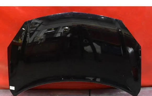 Engine bonnet/hood