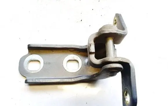 Rear door lower hinge