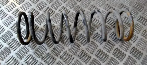 Ford Focus Rear coil spring
