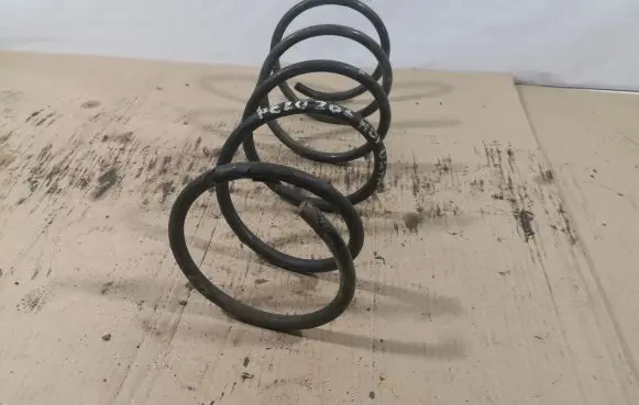 Peugeot 206 Rear coil spring