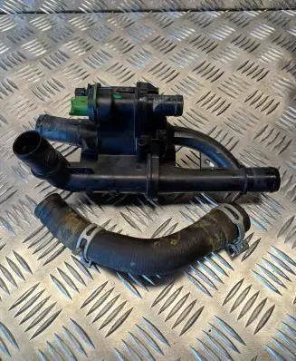 Thermostat/thermostat housing
