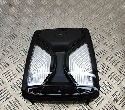 BMW 3 G20 G21 Front seat light 9875360