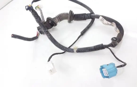 Rear door wiring loom