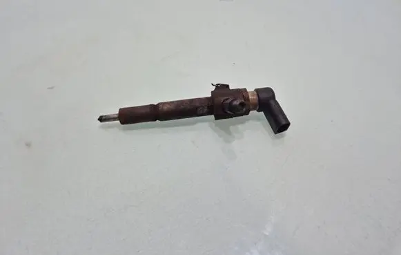 Ford Galaxy Fuel injector 4M5Q9F593AD