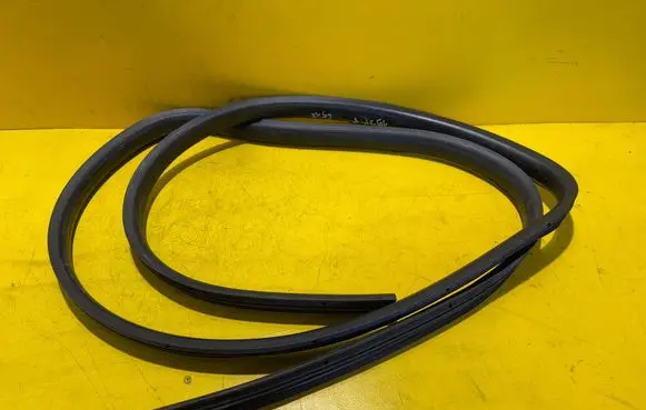 Renault Twingo II Front door rubber seal 