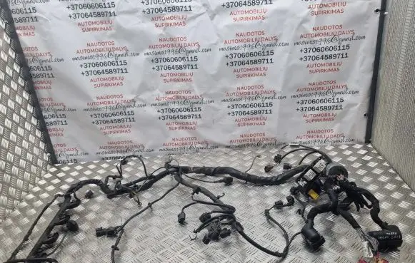 Seat Exeo (3R) Engine installation wiring loom 4E0906385