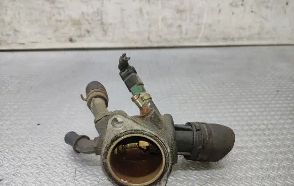 Thermostat/thermostat housing