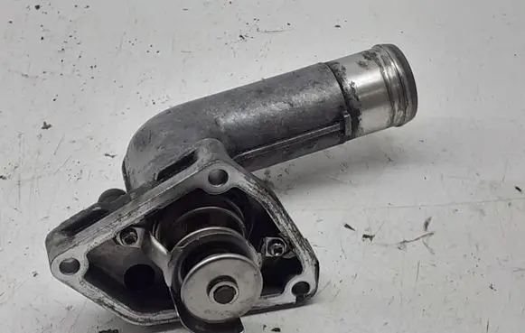 Thermostat/thermostat housing
