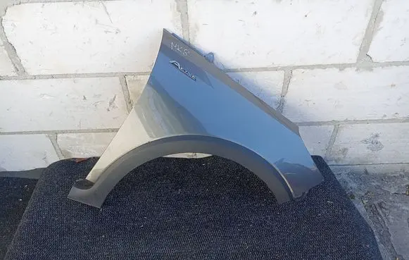 Ford Fiesta Fender