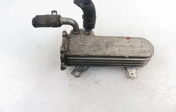 Volkswagen Golf IV EGR valve cooler 038131513AD