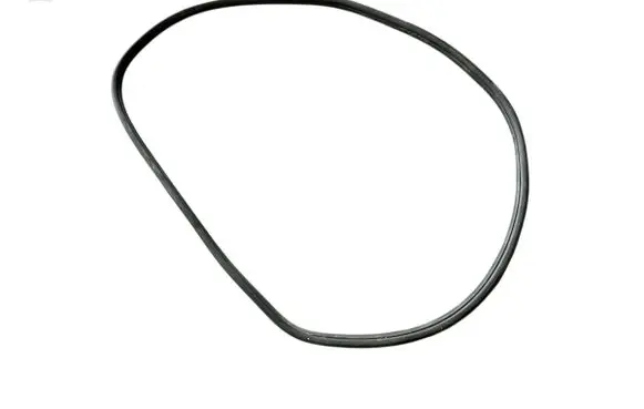 BMW i8 Rubber seal front door window/glass 177447 177447-11 F30-7-258-31