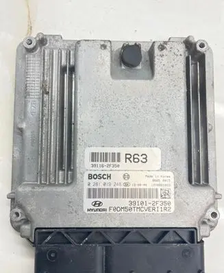 Hyundai Santa Fe Engine control unit/module 0281019248 391162F350 86050015