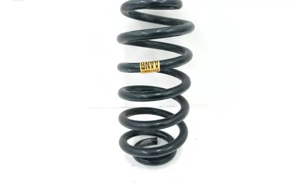Buick Encore I Rear coil spring 95174968