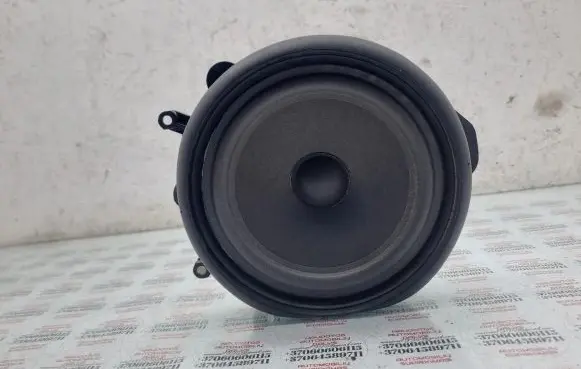 Rear door speaker