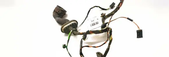 Rear door wiring loom