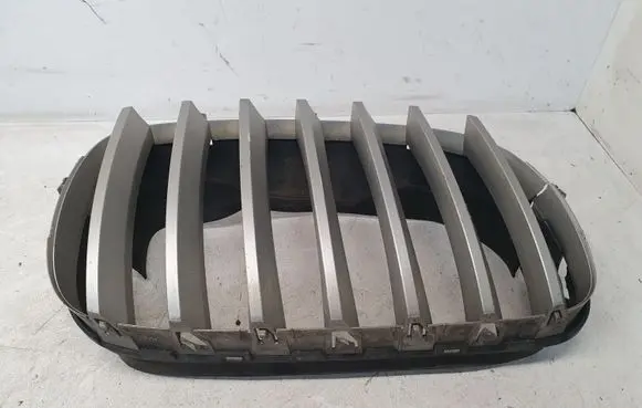 BMW X5 E70 Front grill 51137171396
