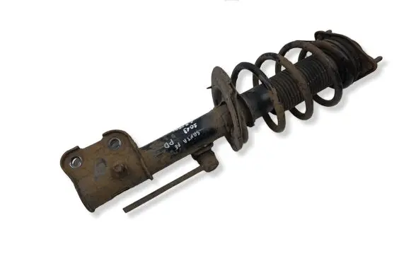 Hyundai Santa Fe Front shock absorber with coil spring 