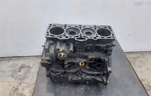 Volkswagen Golf V Engine block BXE