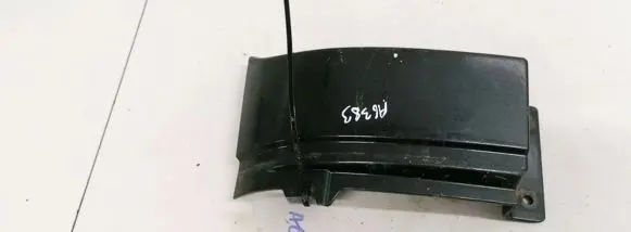 Rear/tail light trim molding