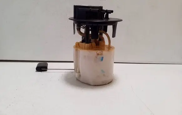 Peugeot Expert In-tank fuel pump 9807056380 28502471 28500632