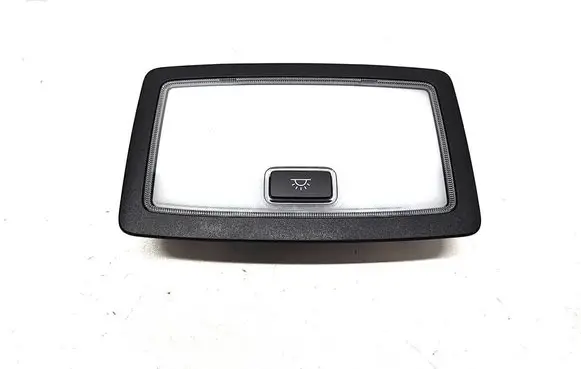 Lexus NX Rear seat light