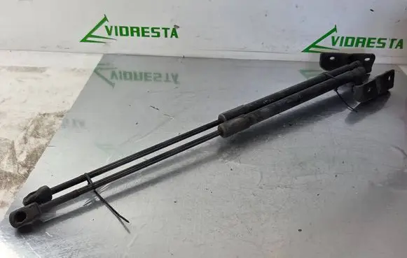 Tailgate/trunk strut/damper