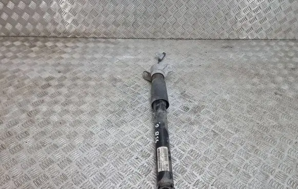 Rear shock absorber/damper