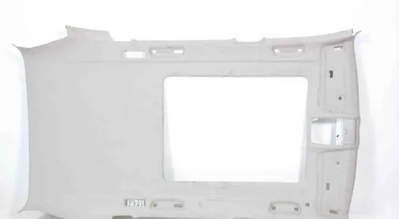 BMW X5 F15 Headlining 7141513