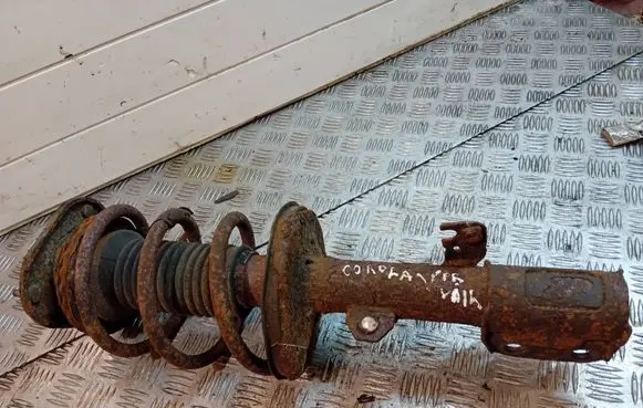 Toyota Corolla Verso AR10 Front shock absorber with coil spring 