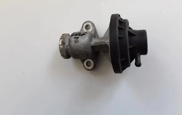Volkswagen Golf V EGR valve 038131501AH