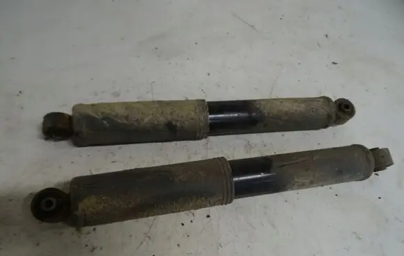 Chevrolet Captiva Rear shock absorber/damper