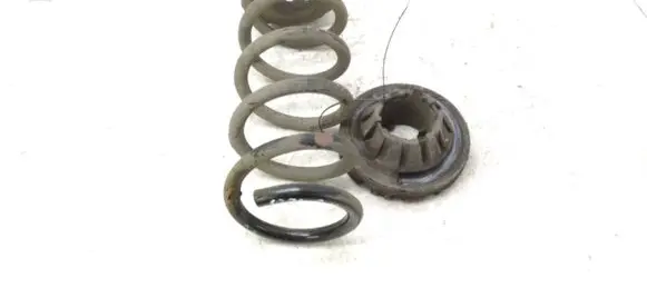 Rear coil spring