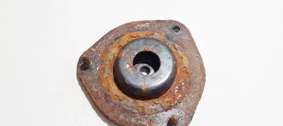 Coil spring mount